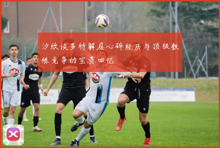 沙欣谈多特解雇心碎经历与顶级教练竞争的宝贵回忆